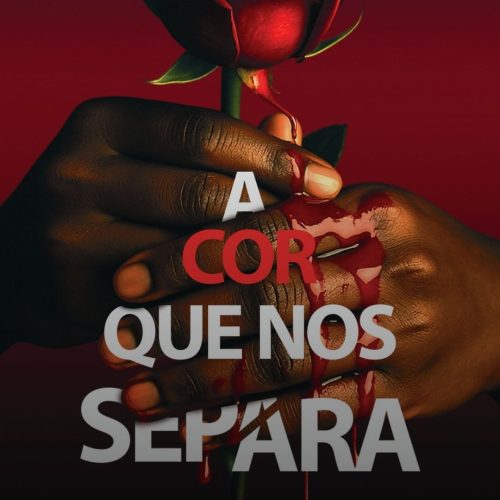 ‘A cor que nos separa’: o livro que usa a força das mulheres para combater o racismo 💖📚