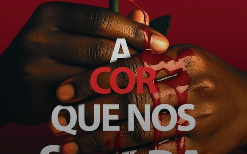 ‘A cor que nos separa’: o livro que usa a força das mulheres para combater o racismo 💖📚