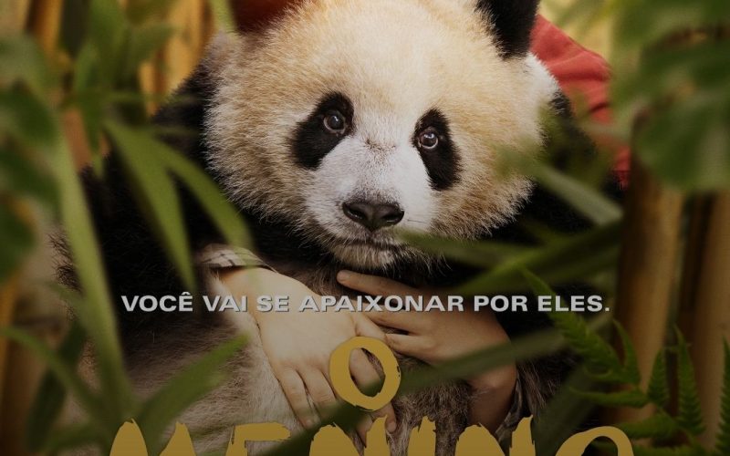 Qual o elenco feminino do filme de férias ‘O Menino e o Panda ?