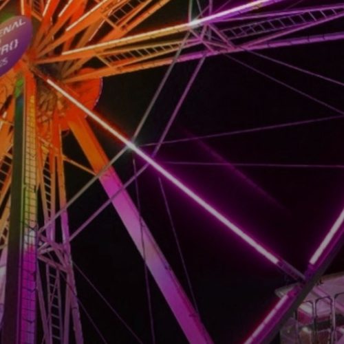 BOOK PARK na Bienal 2025: Guia completo das atrações literárias! 📚🎡🎢