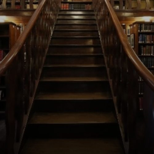 Por que as bibliotecas de SP bateram recorde de visitas ? Entenda o Fenômeno