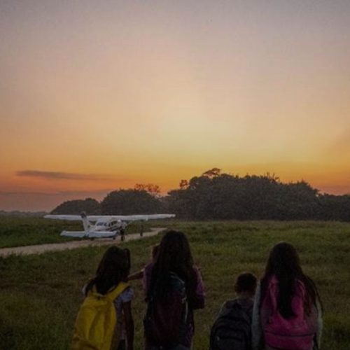 ‘Perdidos na Amazônia’ : a história da menina que sobreviveu e salvou os irmãos na selva após 40 dias 💖✨