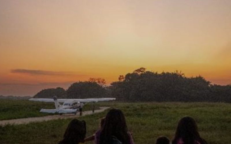 ‘Perdidos na Amazônia’ : a história da menina que sobreviveu e salvou os irmãos na selva após 40 dias 💖✨