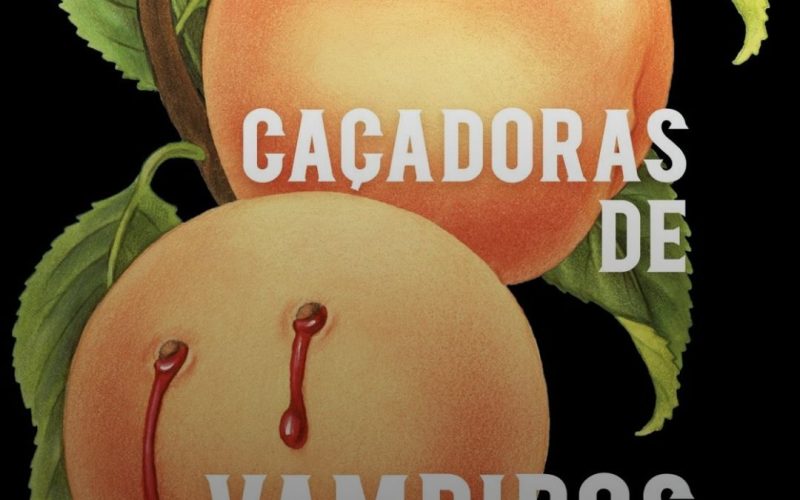Lançamento de arrepiar: “Manual das donas de casa caçadoras de vampiros”, de Grady Hendrix 😱📚