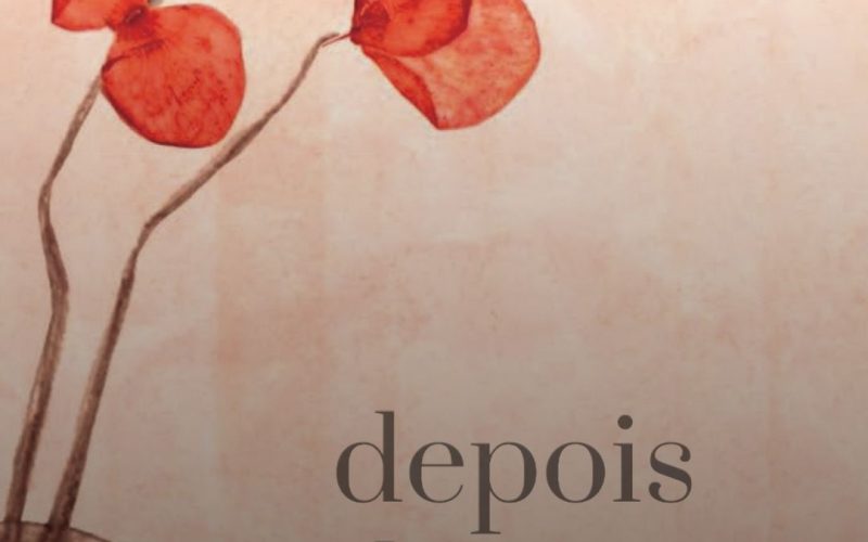 ‘Depois da última lua’: o livro que desvenda a menopausa com força e poesia 💖📚