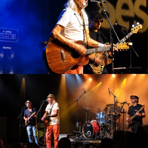 Zé Geraldo no Sesc: o legado musical que floresce em Nô Stopa