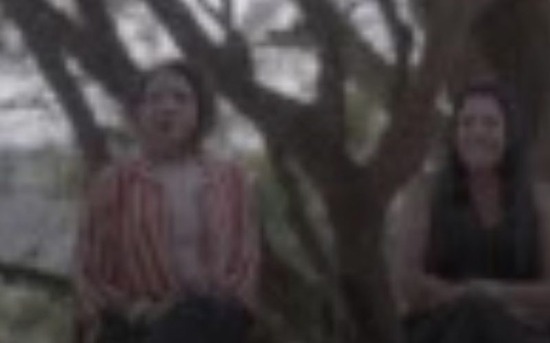 O Mistério de Varginha: o relato das mulheres que pararam o Brasil 🛸