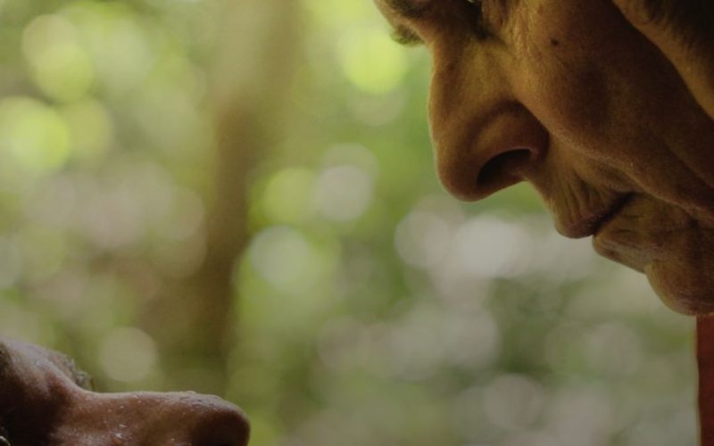 “O Último Azul”: um drama distópico na Amazônia com Denise Weinberg e Rodrigo Santoro