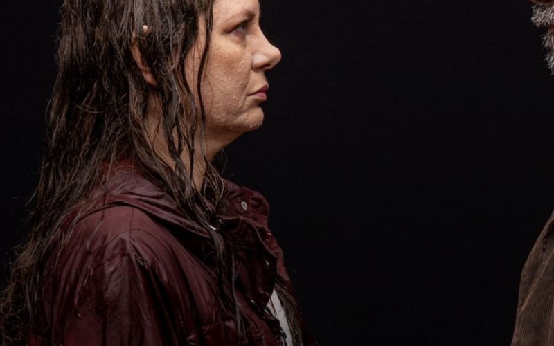 Peça ‘Veneno’, de Lot Vekemans, traz Cléo De Páris em um drama emocionante sobre luto 💖🎭