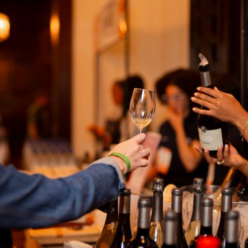 Vinho brasileiro ganha 1º Concurso Vitis Brasil para eleger os melhores rótulos no país
